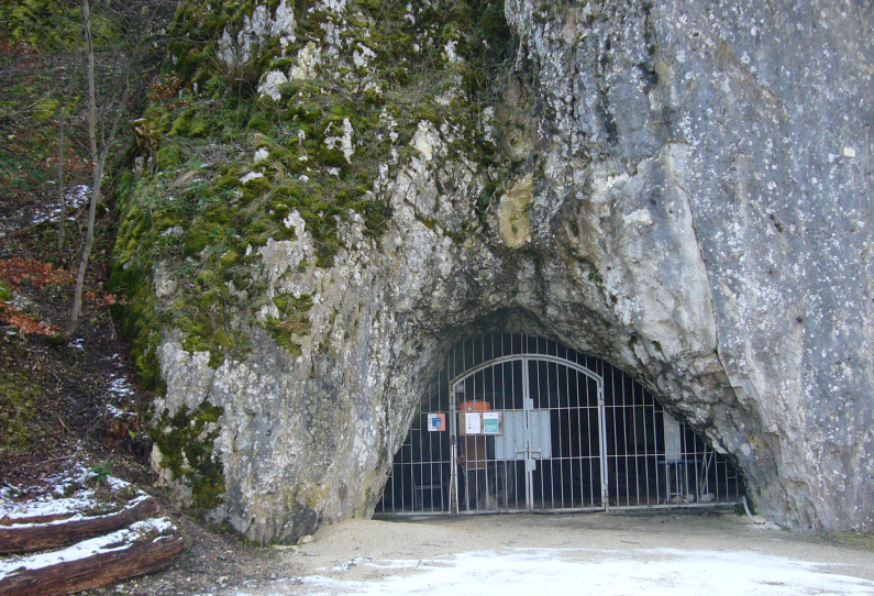 Hohle Fels Wanderseminare