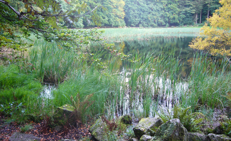 Sagenhafte Wanderseminare, Holleteich Wanderseminare Holleteich