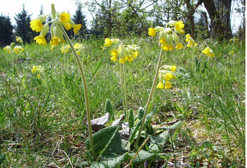 Sagenhafte Wanderseminare Busssen