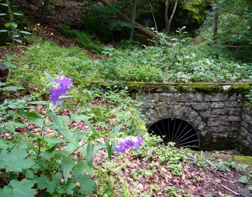 sagenhafte Wanderseminare Sybillenhöhle